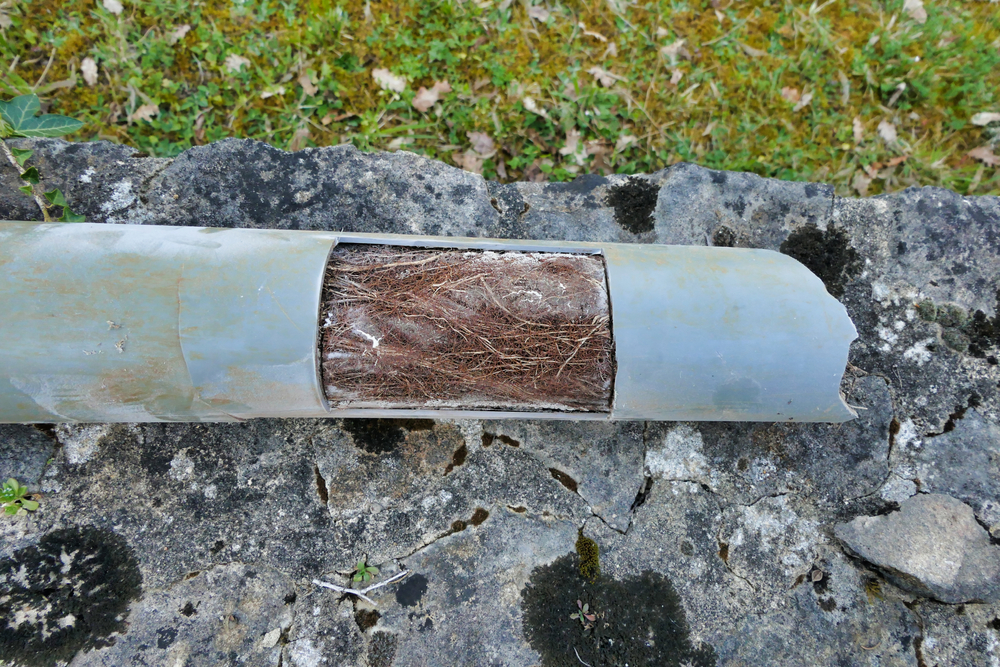 blocked-drain